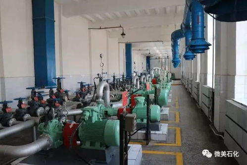 家有 三寶,發(fā)展無(wú)憂