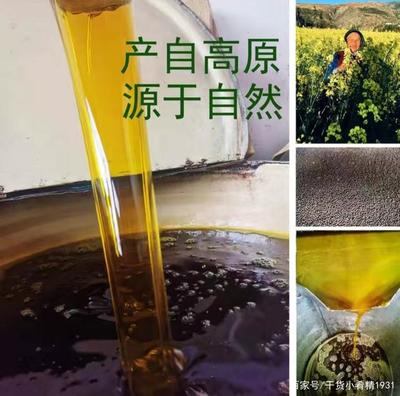 金色門源 北方最大的油菜花海與中國(guó)菜籽油之鄉(xiāng)